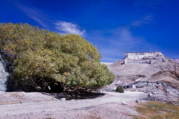 Hanle Monastery