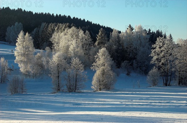 Snowy winter landscape in Sauerland