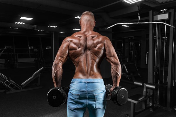 The athlete does an exercise in the gym with dumbbells. Back view. Shrugs. Fitness