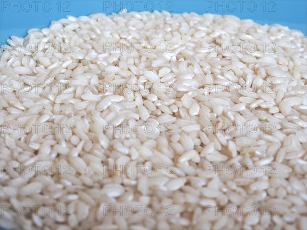 Carnaroli rice food