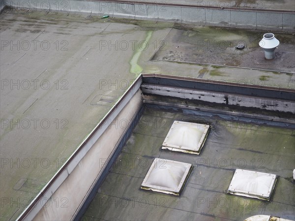 Mold on flat roof