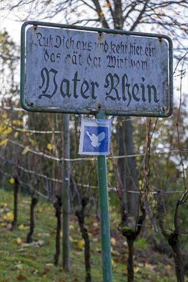 Old sign of a restaurant on the Eselsweg to Drachenfels