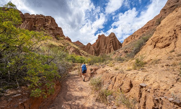 Climber in a canyon with a dry stream bed