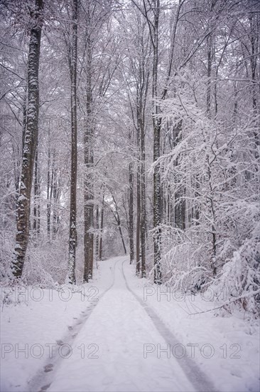 A snow-covered path winds its way through a barren