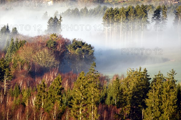 Hunsrueck landscape with forest and meadows on the edge of the Hunsrueck-Hochwald National Park with fog on an early winter morning