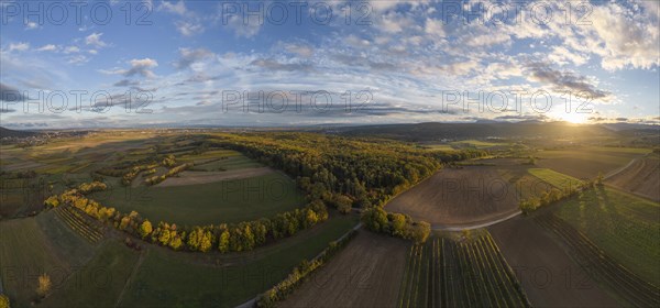 Aerial view of fields vineyards and autumnal forest on the Grossauerhoehe at sunset