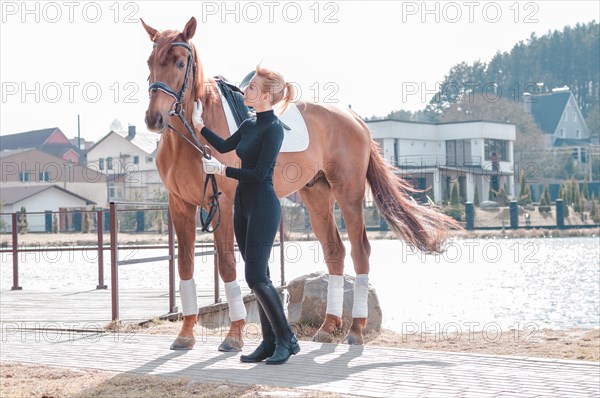 Beautiful stylish woman walking with a horse in a country club. Equestrian sport