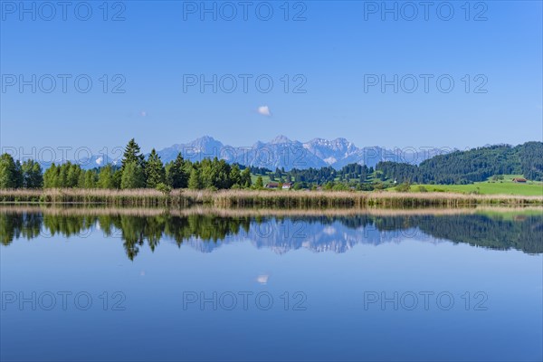 Panorama at Schmutterweiher