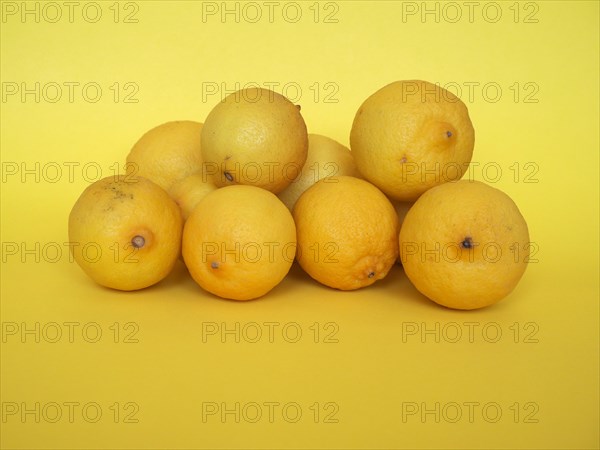 Lemon fruits over yellow background