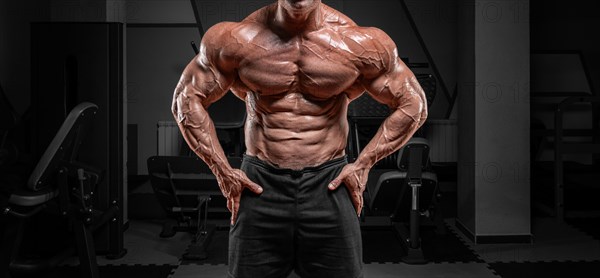 Powerful bodybuilder posing in the gym. No name portrait. Bodybuilding concept.