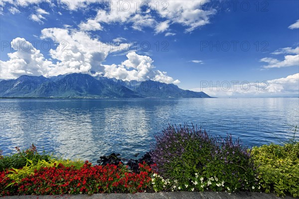 Lake Geneva lakeside promenade
