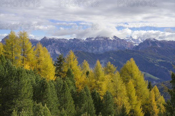 Mountains of the Fanes nature park Park and autumnal larch forest