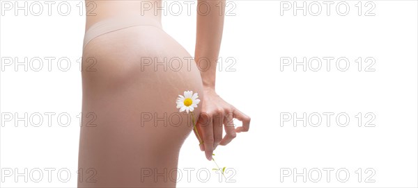 Image of female thighs with stretch marks on the skin. Chamomile flower. Prevention of treatment with natural ointments. Organic medical products.