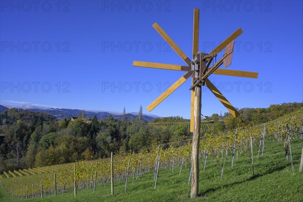 Klapotetz and vineyards