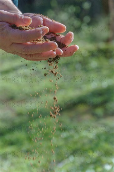 Woman's hands spilling sand between her fingers with a green meadow in the background