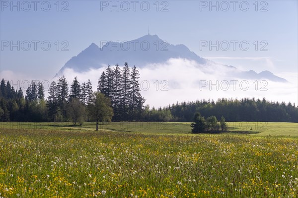 View from the Wittelsbacher Hoehe to the Gruenten