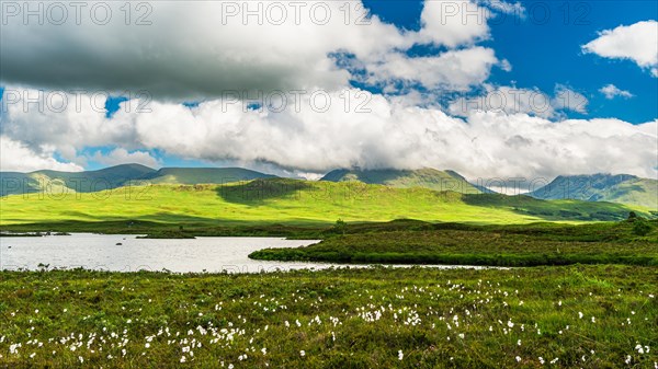 View of Rannoch Moor