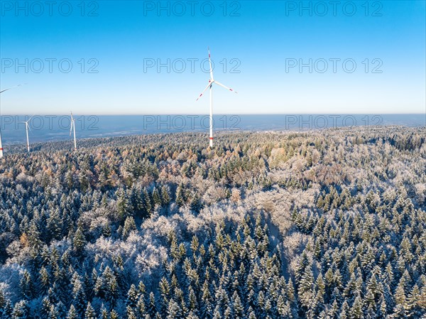 Wind turbines towering above a snow-covered coniferous forest under a blue sky