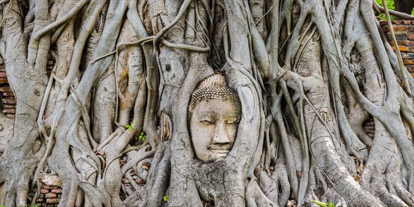 Sandstone head of a Buddha statue