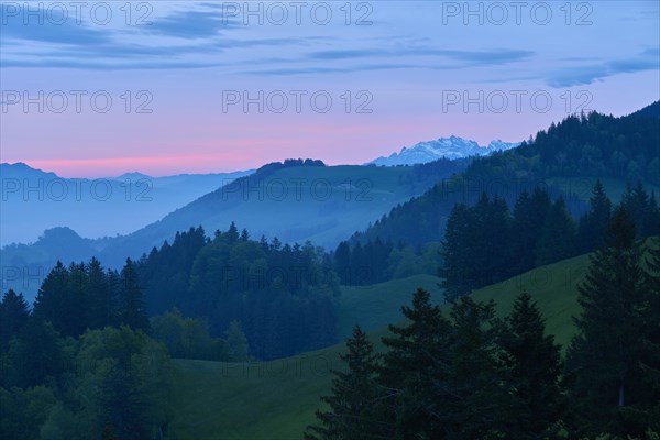 View of wooded hills against snow-covered mountain peaks at dusk with blue-pink sky