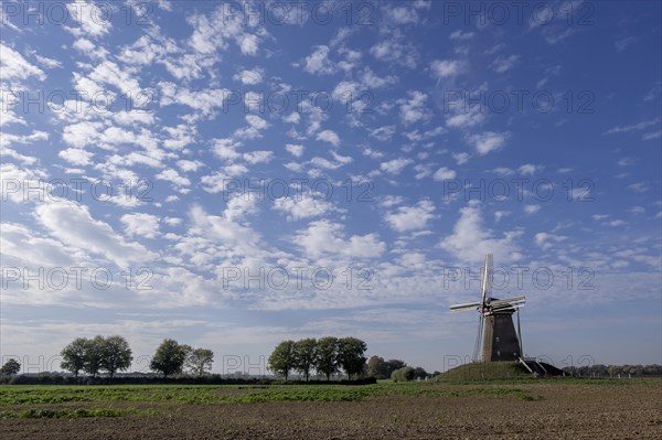 Bronkhorstermolen