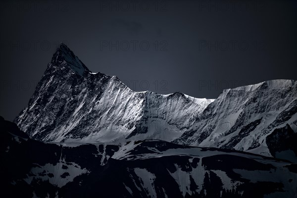 Finsteraarhorn in the morning light