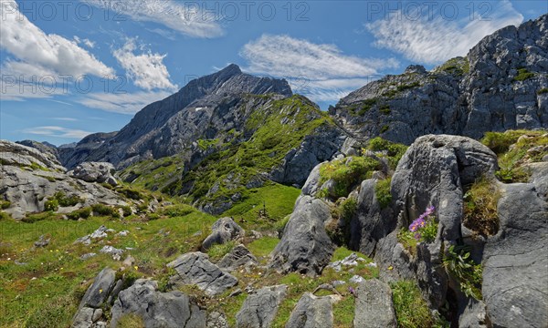 An idyllic mountain scenery with green meadows and jagged rocks under a blue sky with clouds