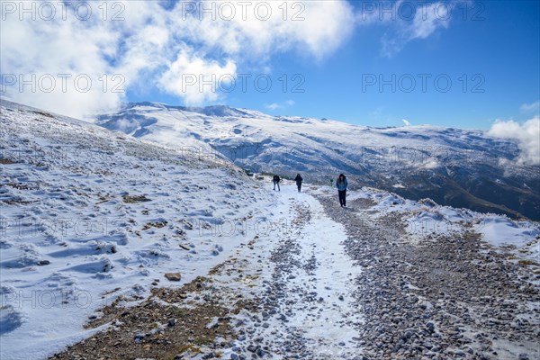 Latin family walking through the snow in the mountains of sierra nevada