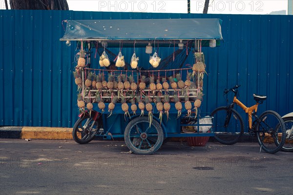 Food cart selling fresh pineapples in the side of the road showing the authentic daily life