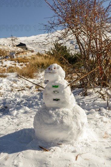 Alpine Frost: Snowman Adorning Snowy Mountain Landscape