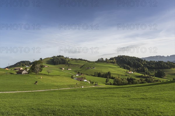 Hilly landscape in Appenzellerland with farms