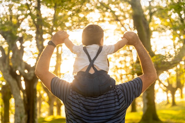 Father and son in a forest in summer autumn. Child on father's back nature under the rays of sunset