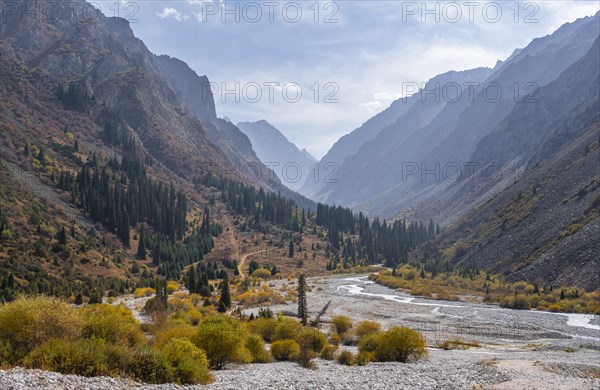 Mountain stream Ala Archa flows through the Ala Archa valley