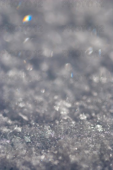 Shiny snow crystals