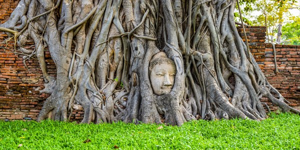 Sandstone head of a Buddha statue