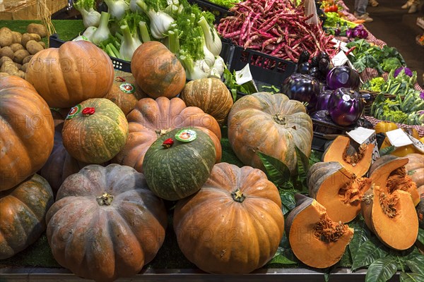 Hokkaido pumpkins in the large market hall