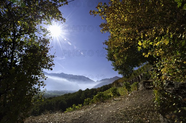 Hiking trail