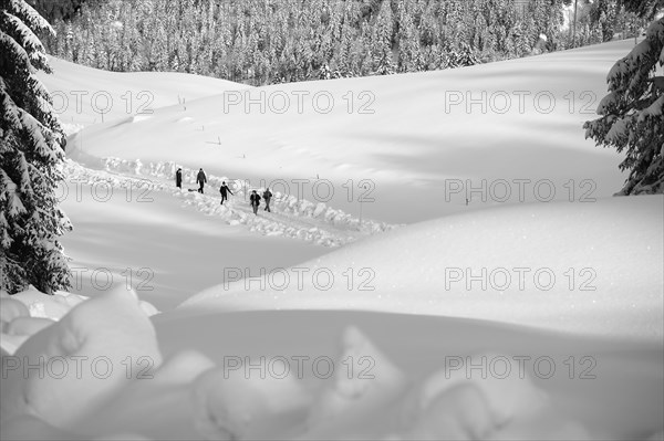 Five hikers on a winter hike to Bodenschneidhaus