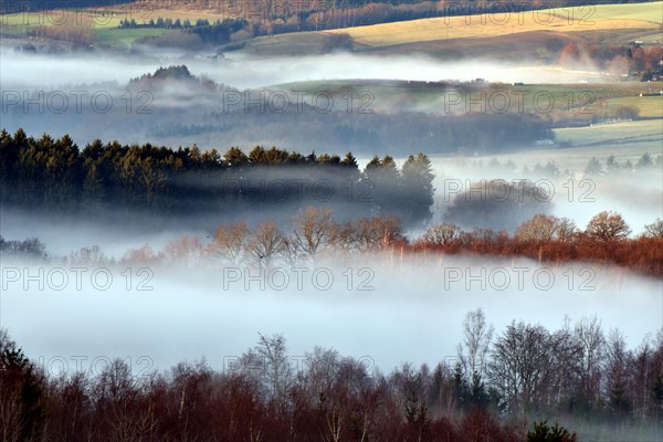 Hunsrueck landscape with forest and meadows on the edge of the Hunsrueck-Hochwald National Park with fog on an early winter morning