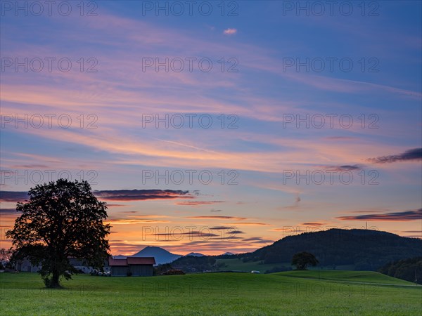 Dawn on the edge of the Alps