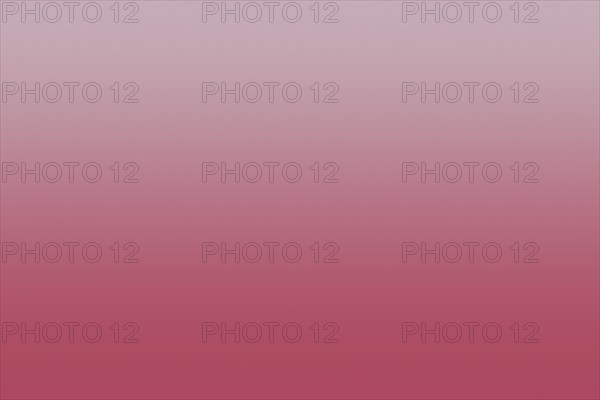 Onion red gradient texture