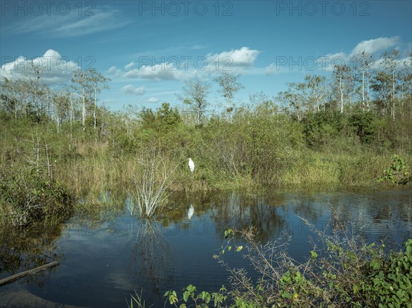 Water arm