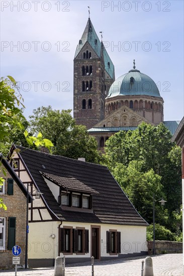 St. Mary's and St. Stephen's Cathedral