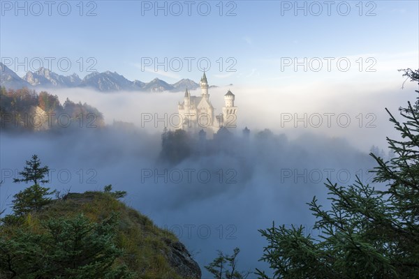 Neuschwanstein Castle in early autumn fog