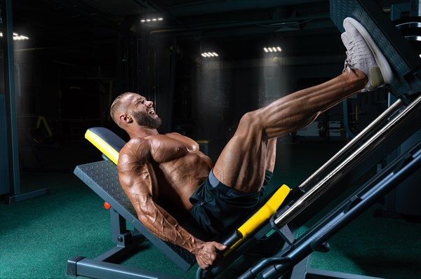 Professional athlete performs a leg exercise. Bodybuilding