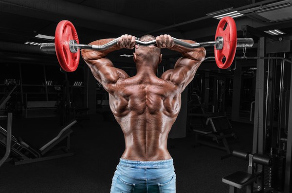 The athlete is doing an exercise in the gym with a barbell. Back view. Fitness