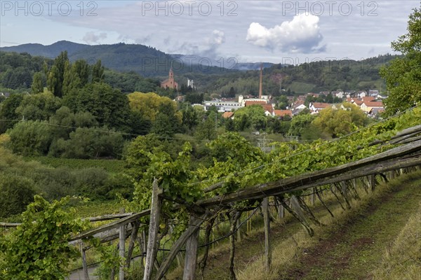 View of Albersweiler