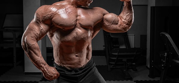 Powerful bodybuilder posing in the gym. No name portrait. Bodybuilding concept.