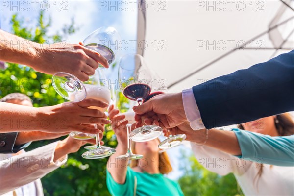 Friends toast at an event or wedding