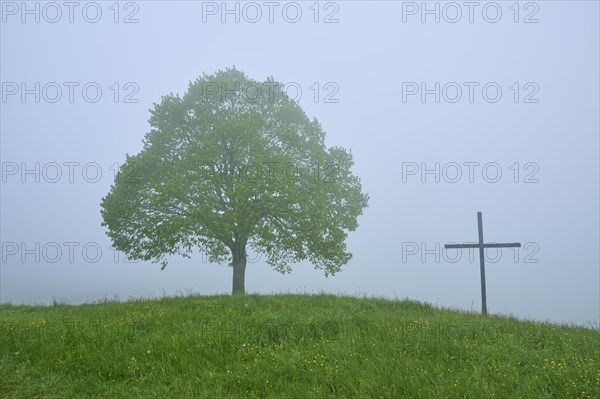 A lonely tree and cross on a misty hill